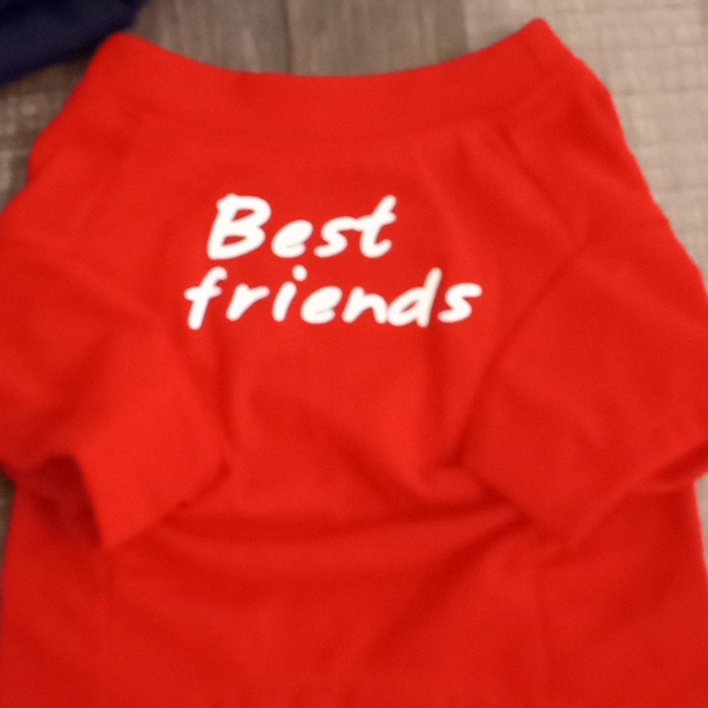 Dog clothes - Picture 3 of 4